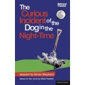 The Curious Incident of the Dog in the Night-Time by Mark Haddon (play adapted by Simon Stephens)